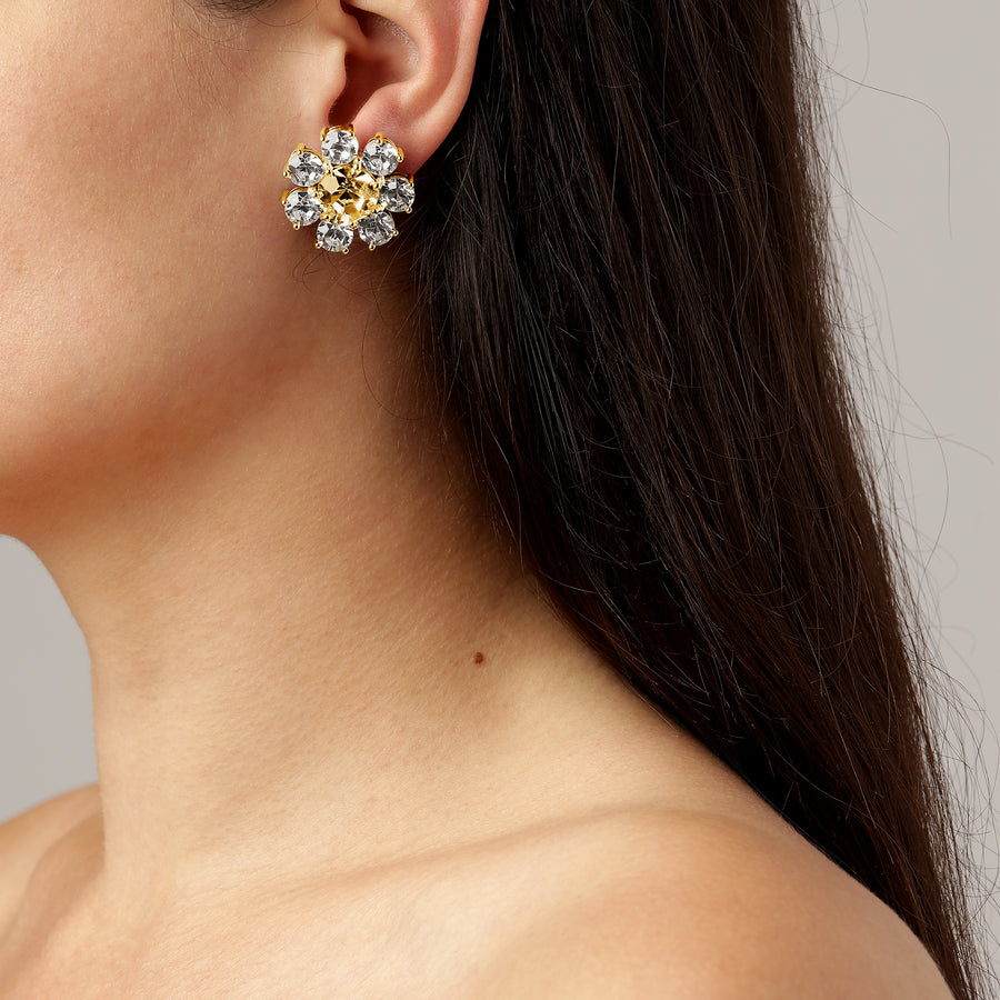 Aubra SG Golden Earrings