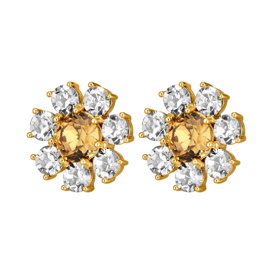 Aubra SG Golden Earrings