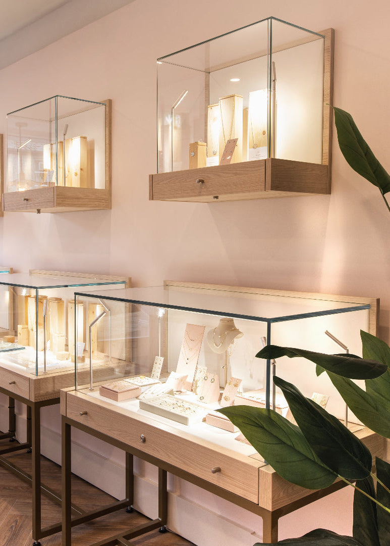 Jewelry store interior with display cases and a plant.