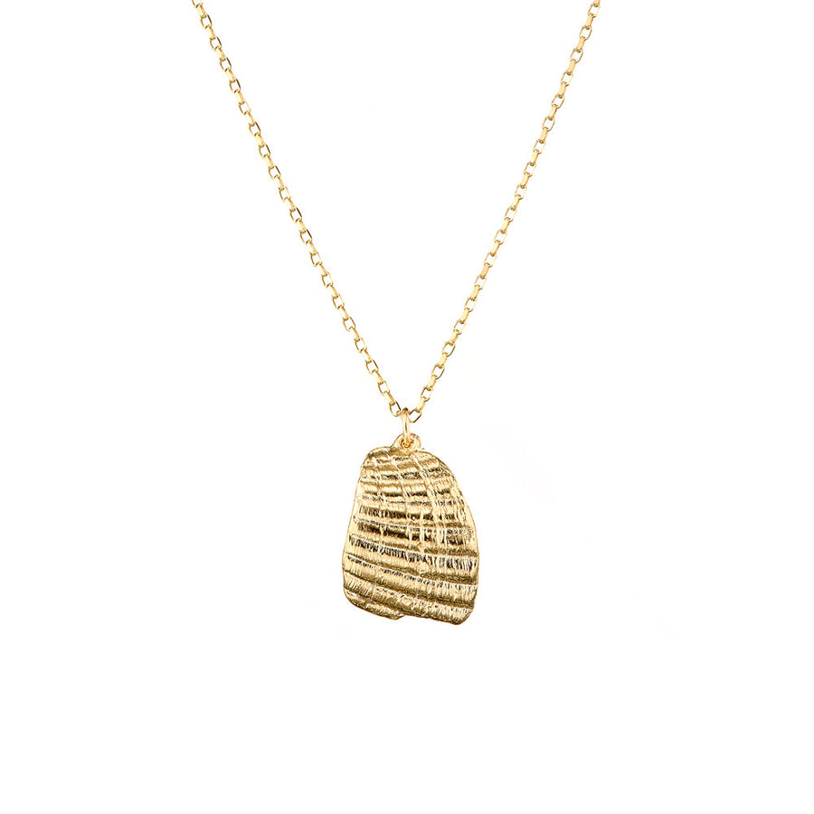 Shell 9ct Gold Necklace