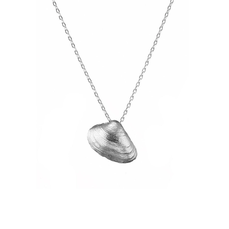 Clam Shell Necklace