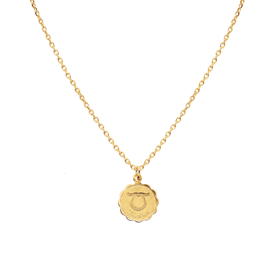 Taurus - Star Sign Necklace